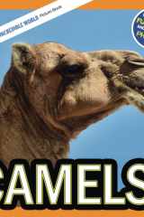 Camels!: A My Incredible World Picture Book for Children (My Incredible World: Nature and Animal Picture Books for Children) cover image