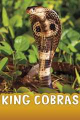 King Cobras cover image
