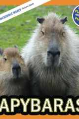 Capybaras!: A My Incredible World Picture Book for Children (My Incredible World: Nature and Animal Picture Books for Children) cover image