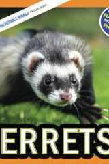 Ferrets!: A My Incredible World Picture Book for Children (My Incredible World: Nature and Animal Picture Books for Children) cover image