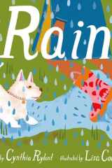 Rain cover image