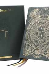 The Jesus Bible Artist Edition NIV Limited Edition Comfort Print [Green] cover image