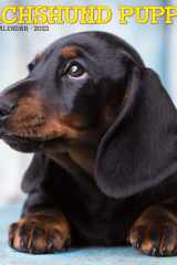 Just Dachshund Puppies 2023 Wall Calendar cover image