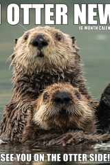 In Otter News 2023 Wall Calendar cover image