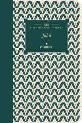 NLT Filament Bible Journal: John (Softcover) cover image