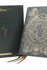 The Jesus Bible Artist Edition NIV Limited Edition, Thumb Indexed, Comfort Print [Green] cover image