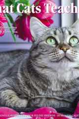 What Cats Teach Us 2023 Wall Calendar cover image