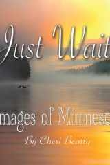 Just Wait cover image