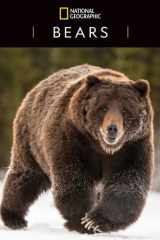 National Geographic: Bears of the World 2023 Wall Calendar cover image