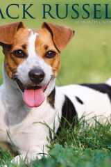 Just Jack Russells 2023 Wall Calendar cover image