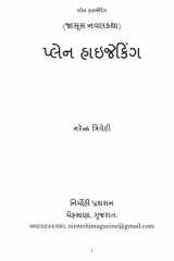 પ્લેન હાઇજેકિંગ cover image