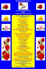100 Preciosos Poemas sobre la Belleza de la Mujer (Spanish Edition) cover image