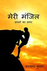 Meri Manzil / मेरी मंजिल cover image
