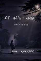 Meri Kavita sangrah / मेरी कविता संग्रह cover image