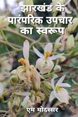 Jharkhand Me Paramparik Upchar Ka Swaroop / झारखंड में पारंपरिक उपचार का स्वरु cover image