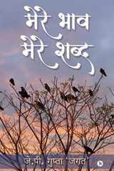 Mere Bhaav, Mere Shabd cover image
