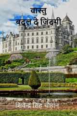 Vaastu Badal de Zindagi / वास्तु बदल दे जिंदगी cover image