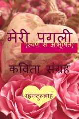 Meri Pagli (swarna Se Abhushit) / मेरी पगली (स्वर्ण से आभूषित) cover image
