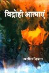 Vidrohi Atmayan: (Hindi Hardcover Jan 01 2011) by Khalil Zibran and Chander Mohan (Hindi) cover image