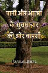 पानी और आत्मा के सुसमाचार की ओर वापसी (Hindi Edition) cover image