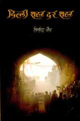 Dilli Shahar Dar Shahar cover image