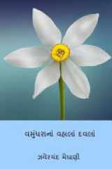 Vasundharana Vahala Davla ( Gujarati Edition ) cover image