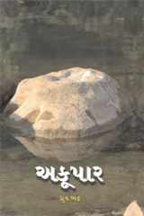 Akoopar (Gujarati Edition) cover image