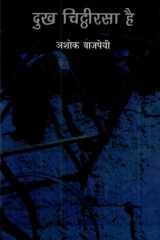 दुख चिट्ठीरसा है cover image