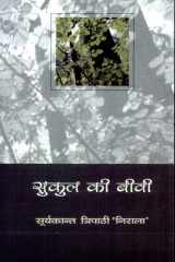 Sukul Ki Bibi cover image