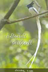 Pankhioni Bhaibandhi (Gujarati Edition) cover image