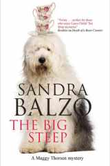 The Big Steep cover image