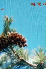 Ajanmaa cover image