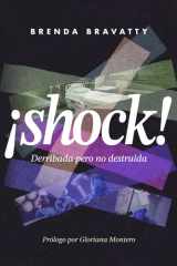 ¡Shock! Derribada pero no destruida cover image
