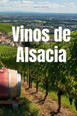 Vinos de Alsacia (Wines of the World: France) cover image
