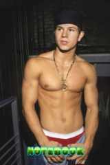 Notebook : Mark Wahlberg Notebook Diary For Any Occasion , Thankgiving Notebook , Home or Work Vol #34 cover image