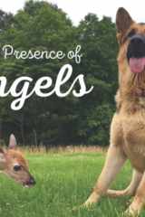 In the Presence of Angels (Bucky's Porch) cover image
