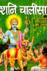 Shani Chalisa (Medium Size) with Aarti cover image