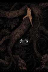 Entre Deux cover image
