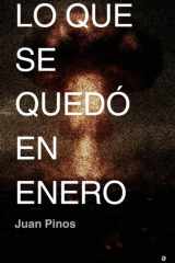 Lo que se quedó en enero cover image