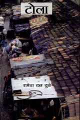 Tola cover image