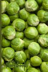 Sprout Notebook: Funny Brussel Sprout Lined Journal, The Perfect Novelty Sprout Gift for Anyone who Loves Brussels Sprouts cover image