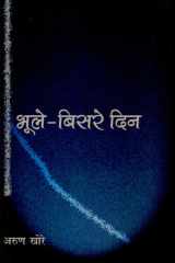 Bhoole-Bisre Din cover image