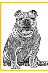 Notebook (Diary ,Notebook ,Journal) for Dog (Bulldog) ,Hard Cover ,8.25 x 11 inches ,180 pages cover image