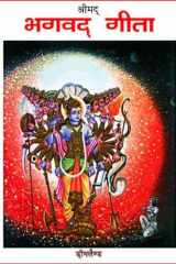 Bhagwad-Gita (Hindi Edition) cover image