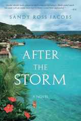 After the Storm A Novel cover image
