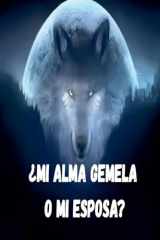¿Mi alma gemela o mi esposa? (Spanish Edition) cover image