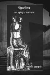 Jhilmil एक ख़ूबसूरत सफ़रनामा cover image