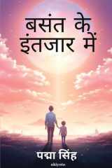 Basant Ke Intezar Mein cover image
