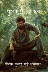 Pushpa 2 cover image