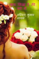 Kuch Likha Hai Tere Bare Me / कुछ लिखा है तेरे बारे में cover image